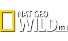 natgeowild.tr EPG data