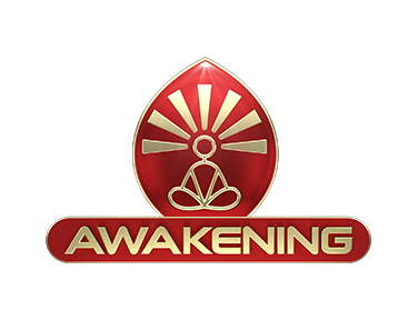 Awakening EPG data