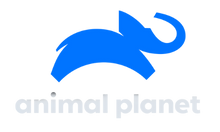 animalplanetplus1.uk EPG data