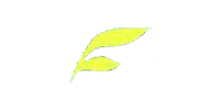 江西: 抚州电视台 EPG data