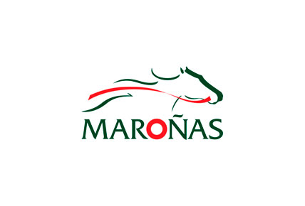 MAROÑAS HD EPG data