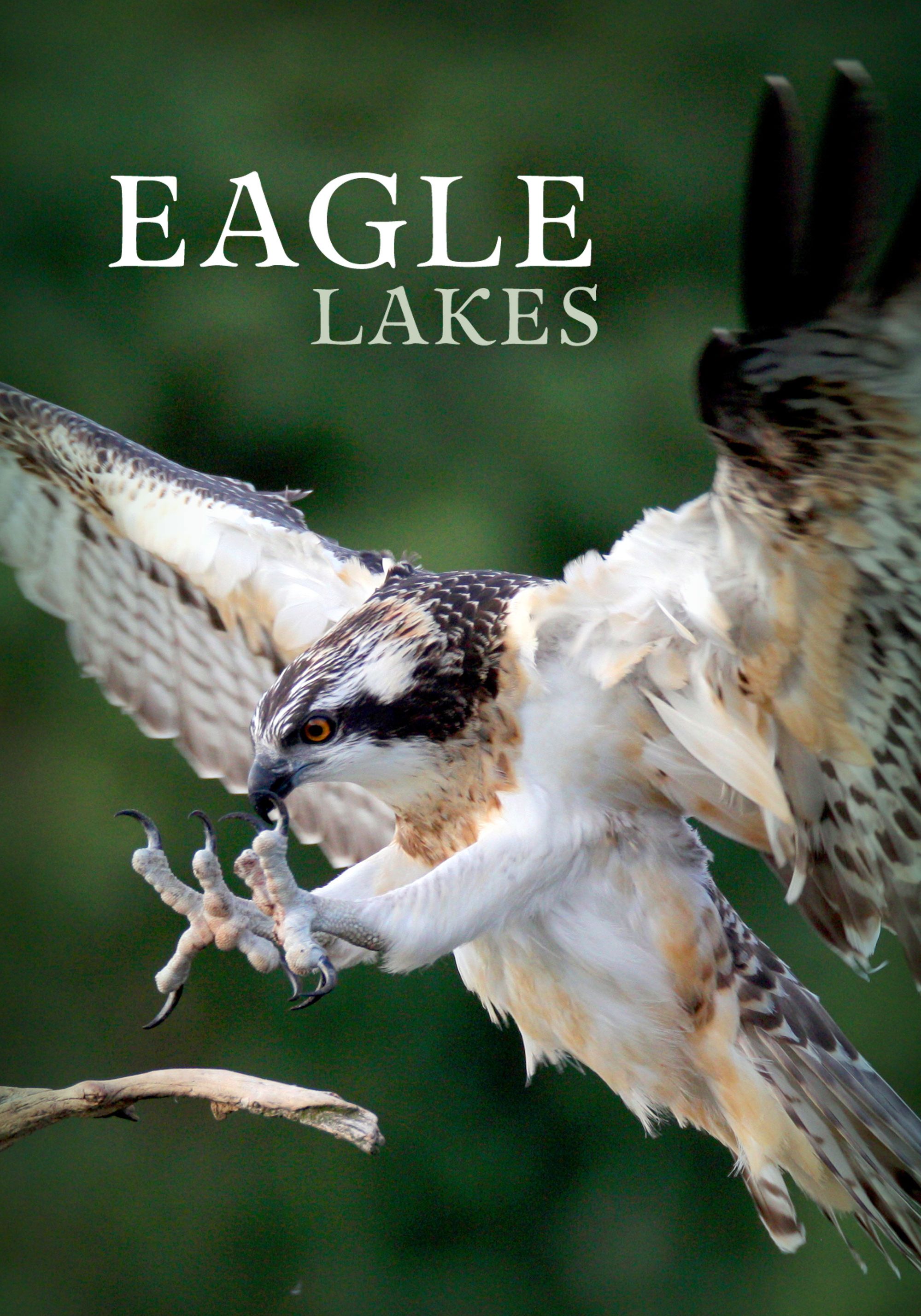 Get.Factual EPG data