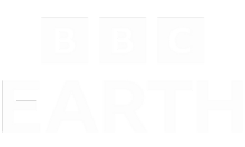 bbcearth.nz EPG data