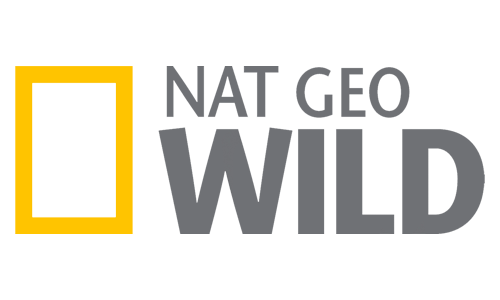 NatGeo Wild HD EPG data