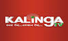 ZeeKalinga News.in EPG data