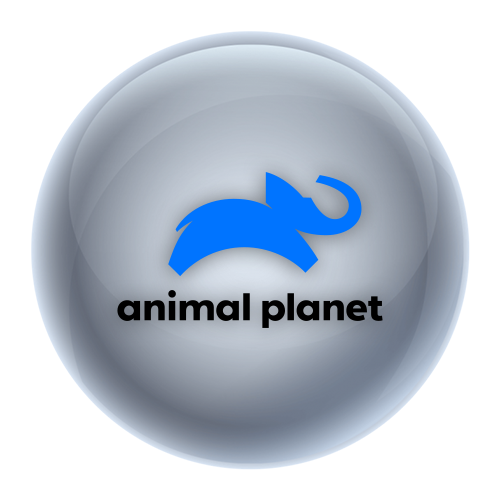 animalplanet.ro EPG data
