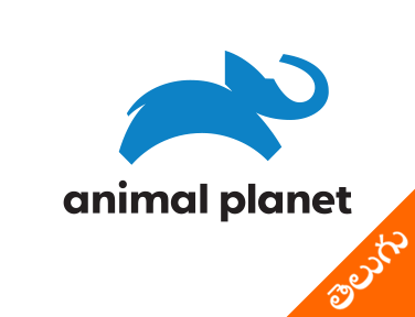 Animal Planet Telugu EPG data