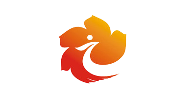 湖南: 桃源电视台 EPG data