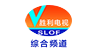 山东: 胜利油田电视台 EPG data