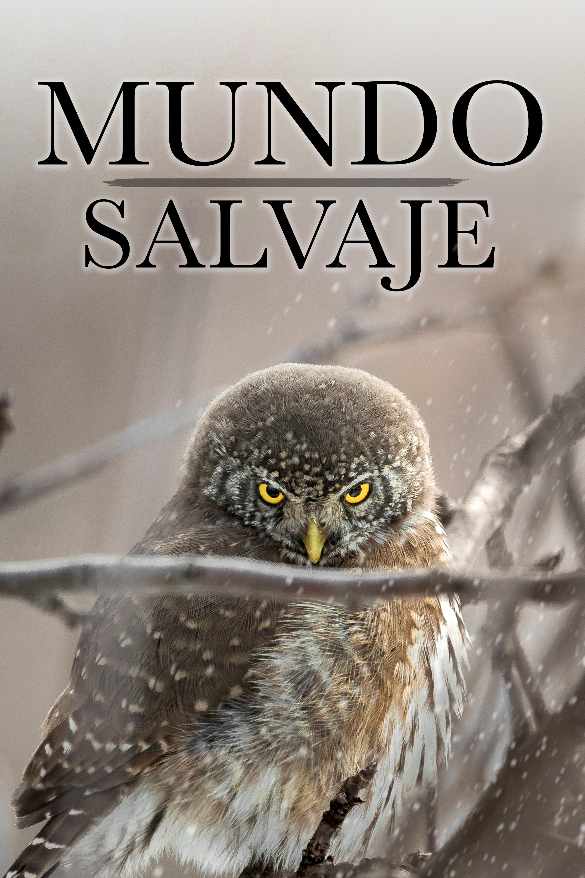 Naturaleza Salvaje EPG data