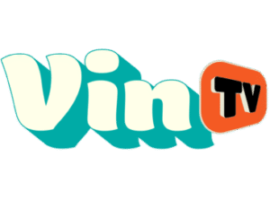 VinTV EPG data