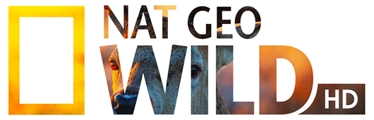 natgeowild.ro EPG data
