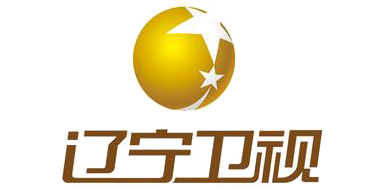 卫视: 辽宁卫视 EPG data
