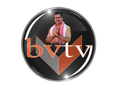 BVTV EPG data