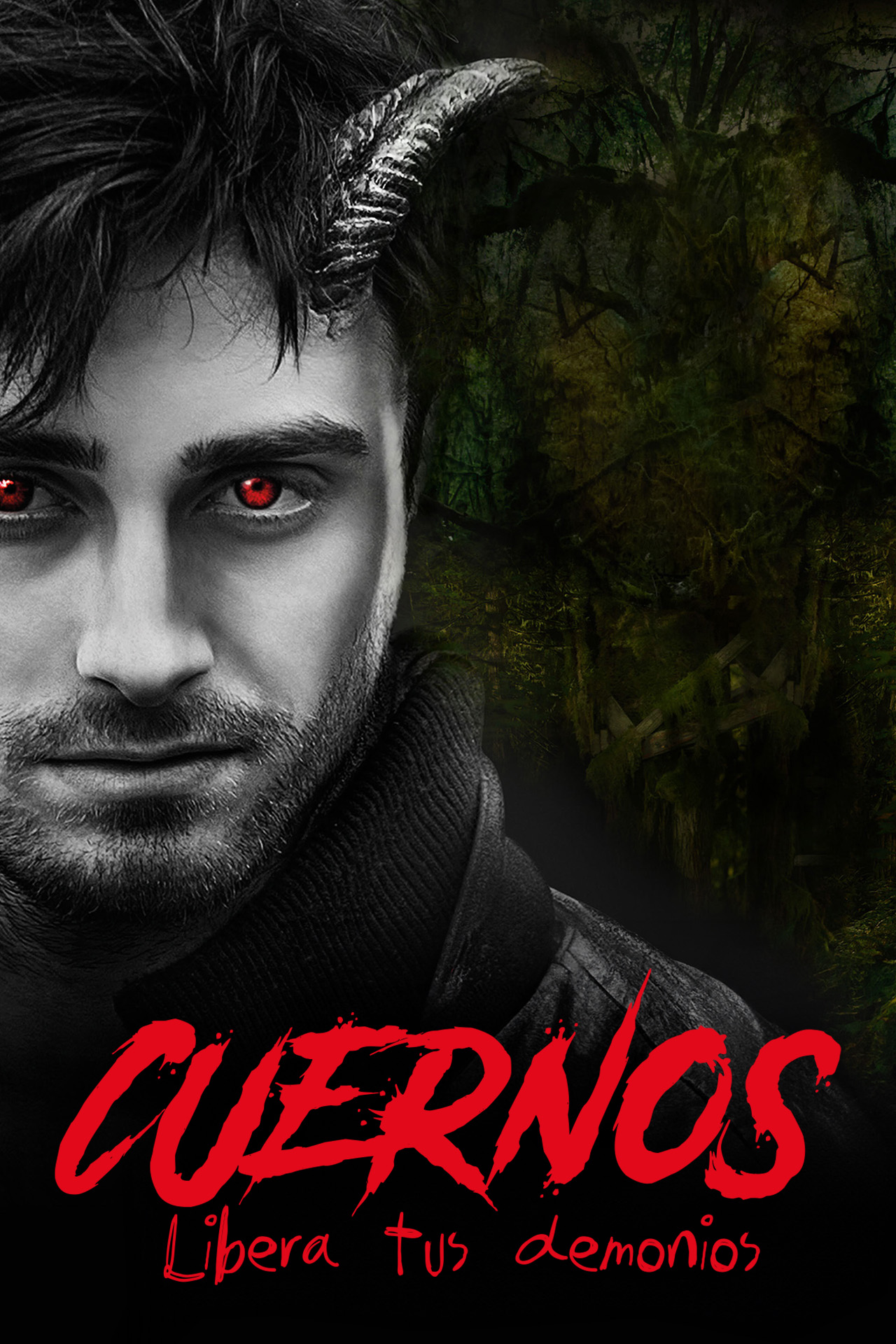 Canela.TV Hollywood y Más EPG data