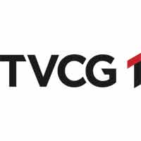 TVCG 1 EPG data