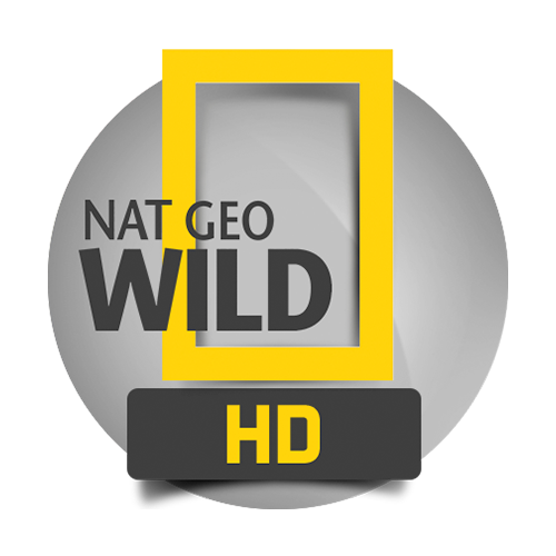 NatGeoWild.fr EPG data