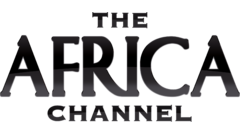 The Africa Channel EPG data