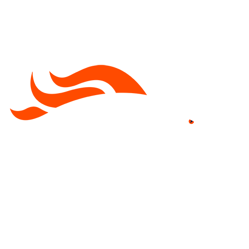 NFL - Denver Broncos EPG data