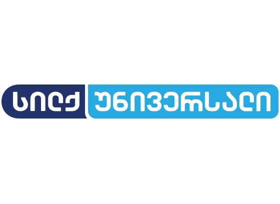 Silk უნივერსალი EPG data