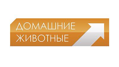 Домашние Животные EPG data