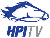 hpitvinternational.ca EPG data