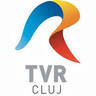 tvrcluj.ro EPG data