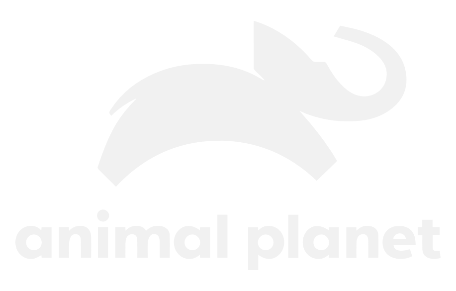 ANIMAL PLANET HD (Animal Planet HD) EPG data