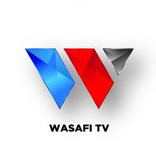 [296] Wasafi TV EPG data