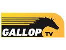 Giallo TV EPG data