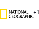 National Geographic Channel +1 EPG data