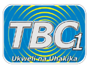 TLC +1 EPG data