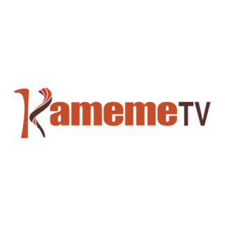 [276] Kameme TV EPG data