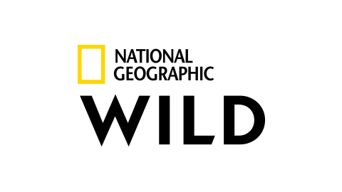 Nat Geo Wild HD (RS) EPG data