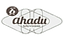 Ahadu TV EPG data