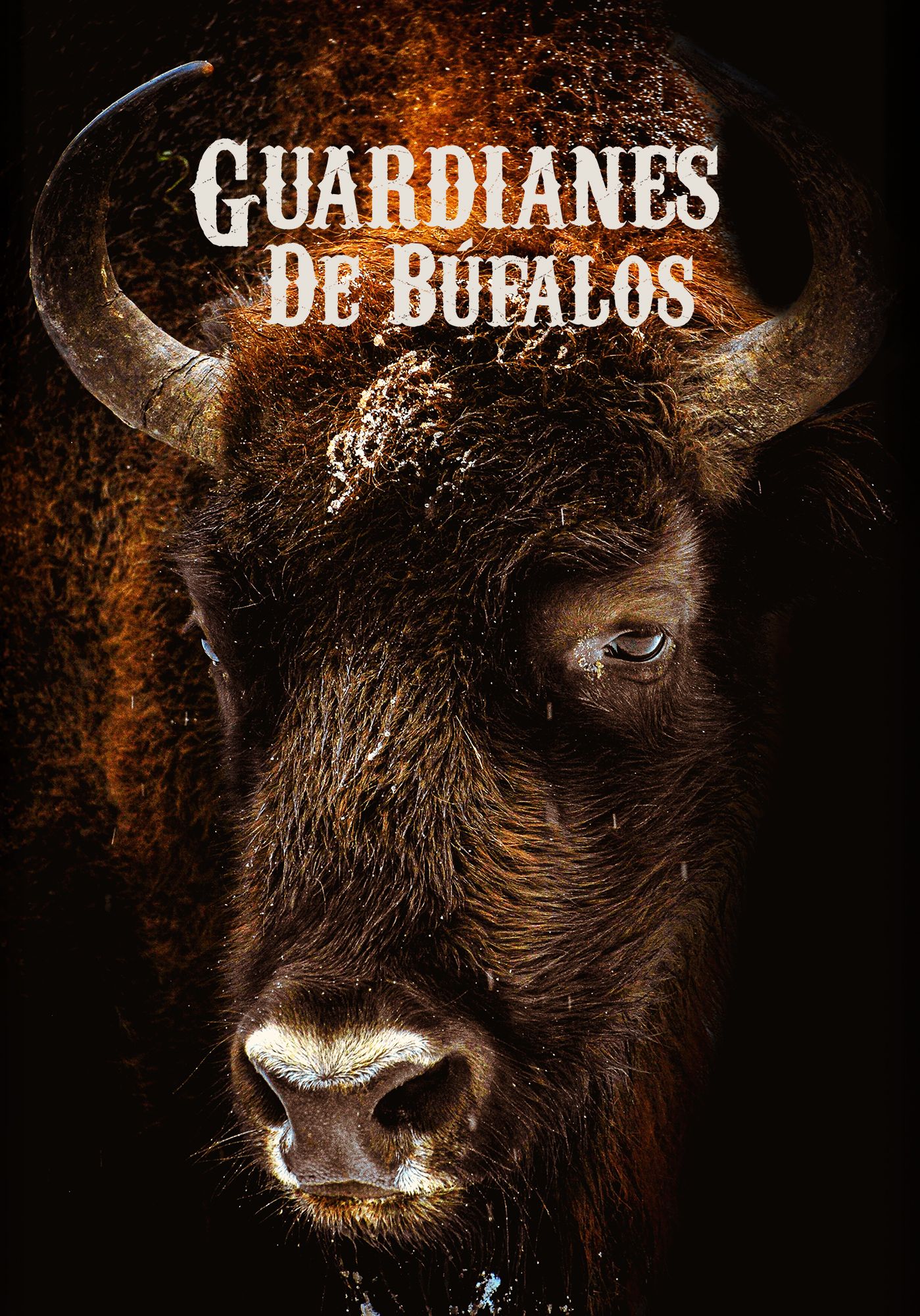 Western Bound Español EPG data