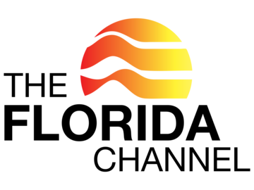 WFSU-DT2 EPG data