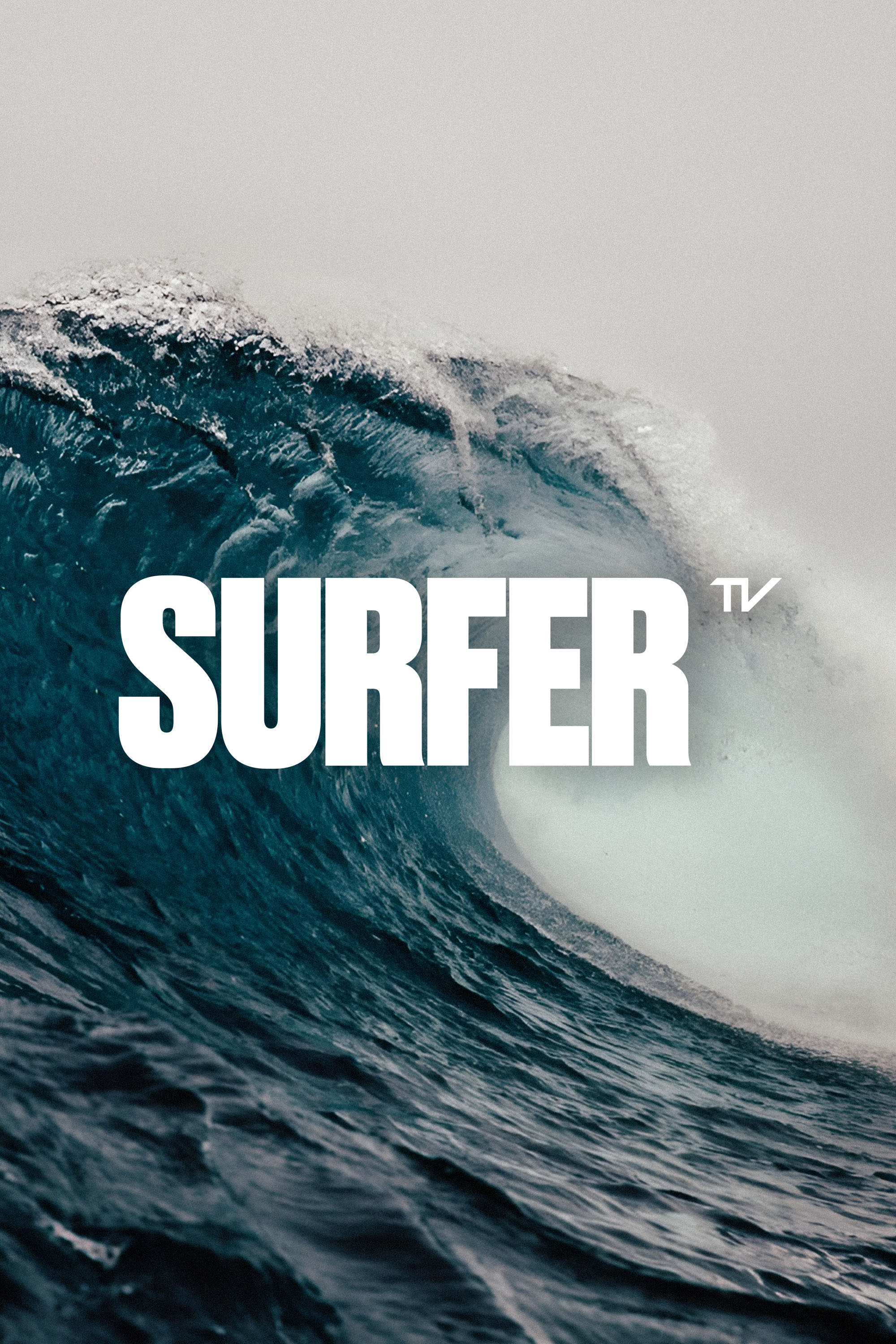 Surfer TV EPG data