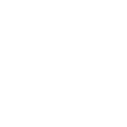 Homicide EPG data