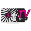 TST1 Content EPG data